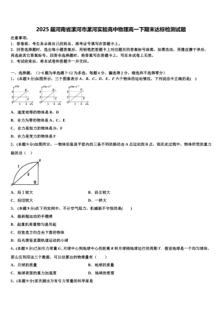 2025届河南省漯河市漯河实验高中物理高一下期末达标检测试题含解析