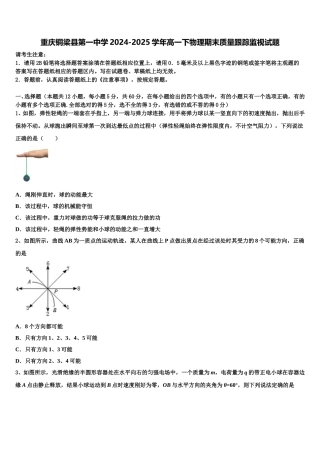 重庆铜梁县第一中学2024-2025学年高一下物理期末质量跟踪监视试题含解析