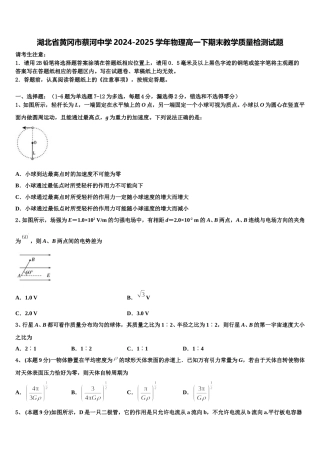 湖北省黄冈市蔡河中学2024-2025学年物理高一下期末教学质量检测试题含解析