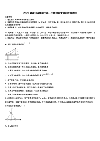 2025届湖北省襄阳市高一下物理期末复习检测试题含解析