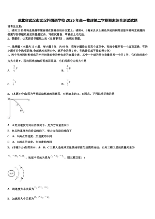 湖北省武汉市武汉外国语学校2025年高一物理第二学期期末综合测试试题含解析