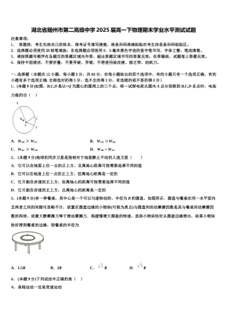 湖北省随州市第二高级中学2025届高一下物理期末学业水平测试试题含解析