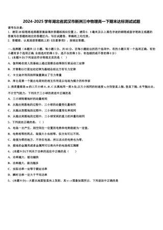 2024-2025学年湖北省武汉市新洲三中物理高一下期末达标测试试题含解析