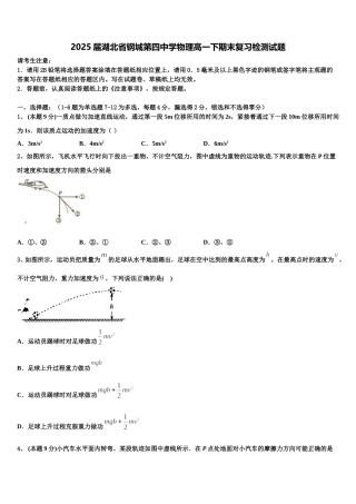 2025届湖北省钢城第四中学物理高一下期末复习检测试题含解析