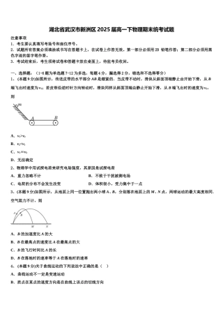 湖北省武汉市新洲区2025届高一下物理期末统考试题含解析