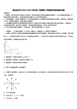 湖北武汉市2024-2025学年高一物理第二学期期末调研模拟试题含解析