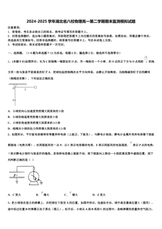 2024-2025学年湖北省八校物理高一第二学期期末监测模拟试题含解析