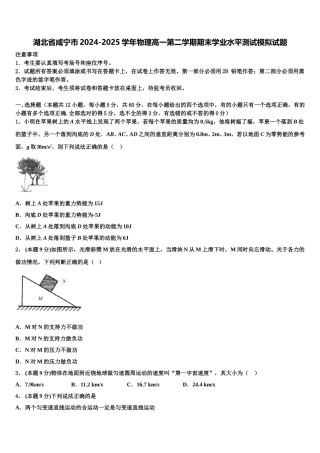 湖北省咸宁市2024-2025学年物理高一第二学期期末学业水平测试模拟试题含解析