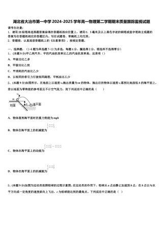 湖北省大冶市第一中学2024-2025学年高一物理第二学期期末质量跟踪监视试题含解析