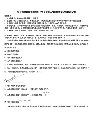 湖北省第五届测评活动2025年高一下物理期末检测模拟试题含解析