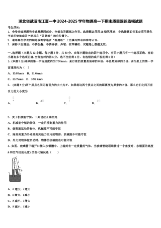 湖北省武汉市江夏一中2024-2025学年物理高一下期末质量跟踪监视试题含解析