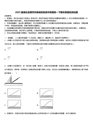 2025届湖北省黄冈市麻城实验高中物理高一下期末质量检测试题含解析