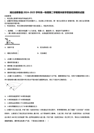 湖北省蕲春县2024-2025学年高一物理第二学期期末教学质量检测模拟试题含解析