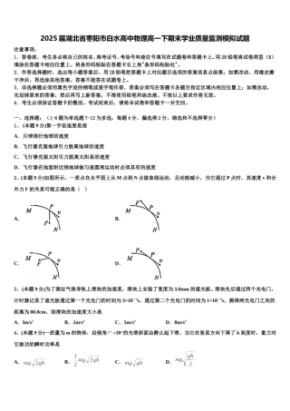 2025届湖北省枣阳市白水高中物理高一下期末学业质量监测模拟试题含解析