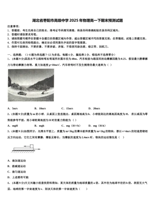 湖北省枣阳市高级中学2025年物理高一下期末预测试题含解析