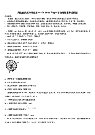 湖北省武汉市常青第一中学2025年高一下物理期末考试试题含解析