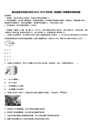 湖北省武汉市部分学校2024-2025学年高一物理第二学期期末预测试题含解析