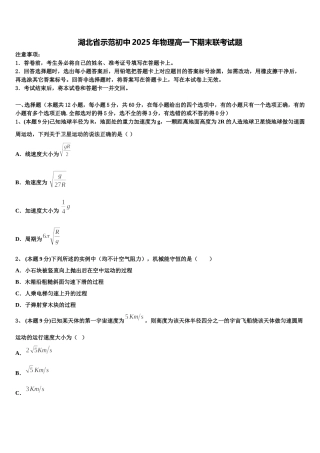 湖北省示范初中2025年物理高一下期末联考试题含解析