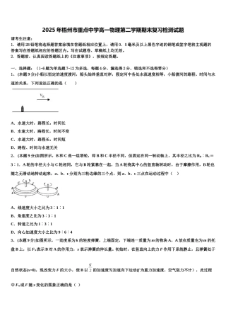 2025年梧州市重点中学高一物理第二学期期末复习检测试题含解析