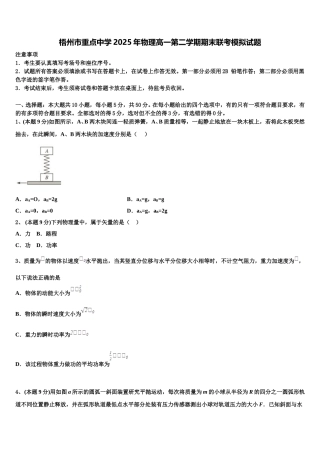 梧州市重点中学2025年物理高一第二学期期末联考模拟试题含解析