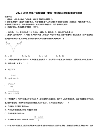 2024-2025学年广西蒙山县一中高一物理第二学期期末联考试题含解析