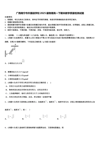 广西南宁市外国语学校2025届物理高一下期末教学质量检测试题含解析