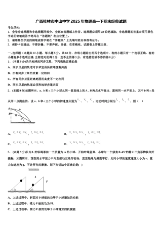 广西桂林市中山中学2025年物理高一下期末经典试题含解析