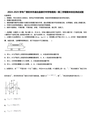 2024-2025学年广西钦州市浦北县寨圩中学物理高一第二学期期末综合测试试题含解析
