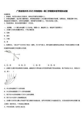 广西省梧州市2025年物理高一第二学期期末联考模拟试题含解析