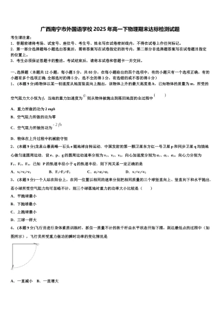 广西南宁市外国语学校2025年高一下物理期末达标检测试题含解析