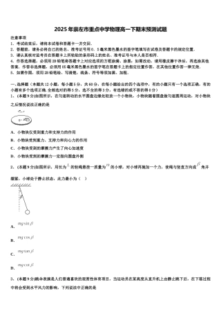 2025年崇左市重点中学物理高一下期末预测试题含解析