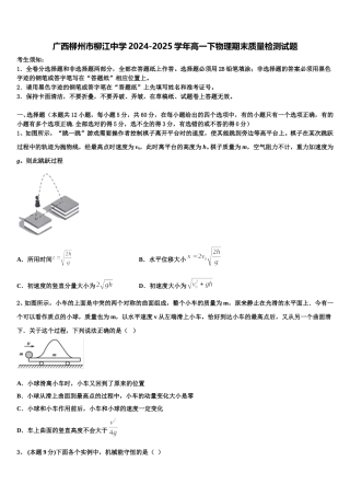 广西柳州市柳江中学2024-2025学年高一下物理期末质量检测试题含解析