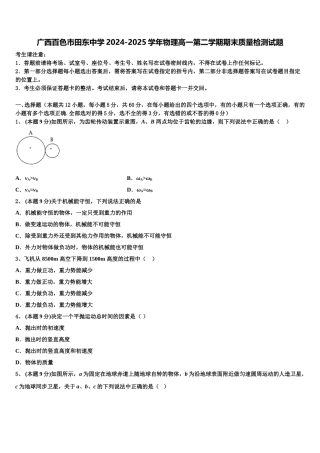 广西百色市田东中学2024-2025学年物理高一第二学期期末质量检测试题含解析