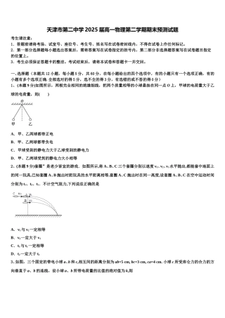 天津市第二中学2025届高一物理第二学期期末预测试题含解析