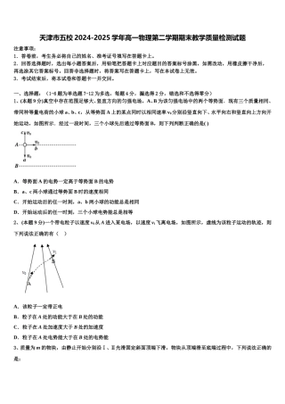 天津市五校2024-2025学年高一物理第二学期期末教学质量检测试题含解析