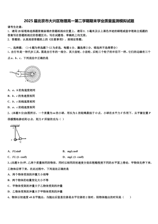 2025届北京市大兴区物理高一第二学期期末学业质量监测模拟试题含解析