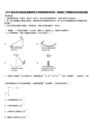 2025届北京市海淀区首都师范大学附属育新学校高一物理第二学期期末综合测试试题含解析