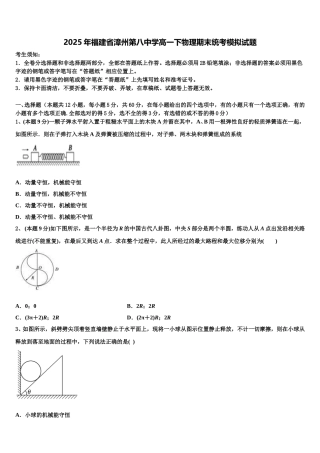 2025年福建省漳州第八中学高一下物理期末统考模拟试题含解析