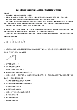 2025年福建省福州市第一中学高一下物理期末监测试题含解析
