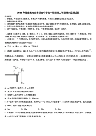 2025年福建省南安市侨光中学高一物理第二学期期末监测试题含解析