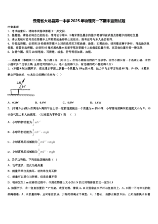 云南省大姚县第一中学2025年物理高一下期末监测试题含解析