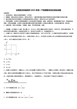 云南省石林县民中2025年高一下物理期末综合测试试题含解析