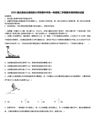2025届云南省云南民族大学附属中学高一物理第二学期期末调研模拟试题含解析