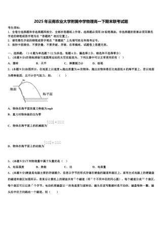 2025年云南农业大学附属中学物理高一下期末联考试题含解析