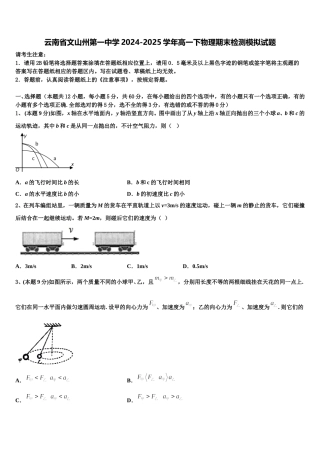 云南省文山州第一中学2024-2025学年高一下物理期末检测模拟试题含解析
