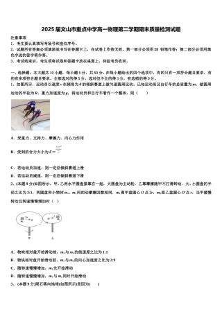 2025届文山市重点中学高一物理第二学期期末质量检测试题含解析