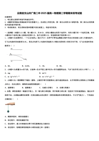 云南省文山州广南二中2025届高一物理第二学期期末统考试题含解析
