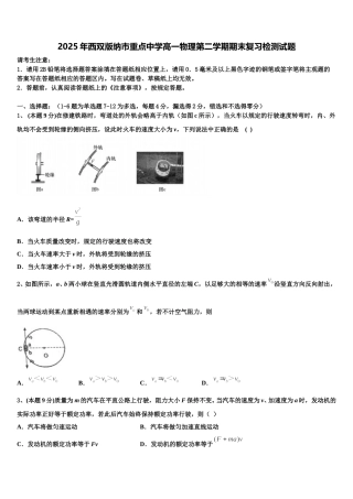 2025年西双版纳市重点中学高一物理第二学期期末复习检测试题含解析