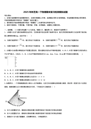 2025年林芝高一下物理期末复习检测模拟试题含解析