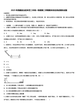 2025年西藏自治区林芝二中高一物理第二学期期末综合测试模拟试题含解析